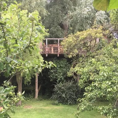 Treehouse Nocleg ze śniadaniem *