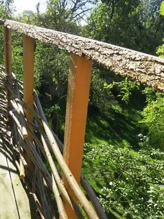 Treehouse Отель типа 