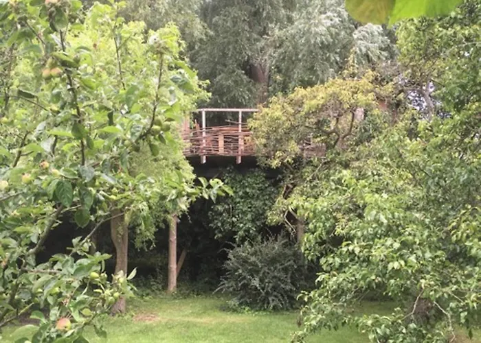 Treehouse Alojamento de Acomodação e Pequeno-almoço *