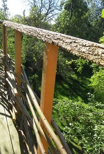 Treehouse Alojamento de Acomodação e Pequeno-almoço