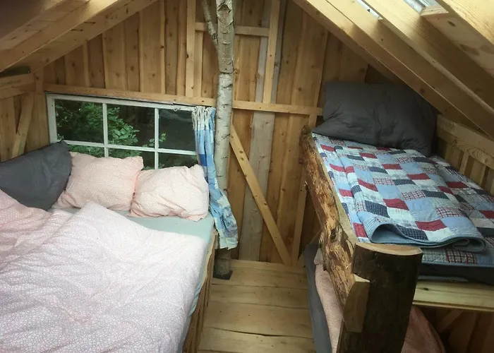 Bed & Breakfast Treehouse